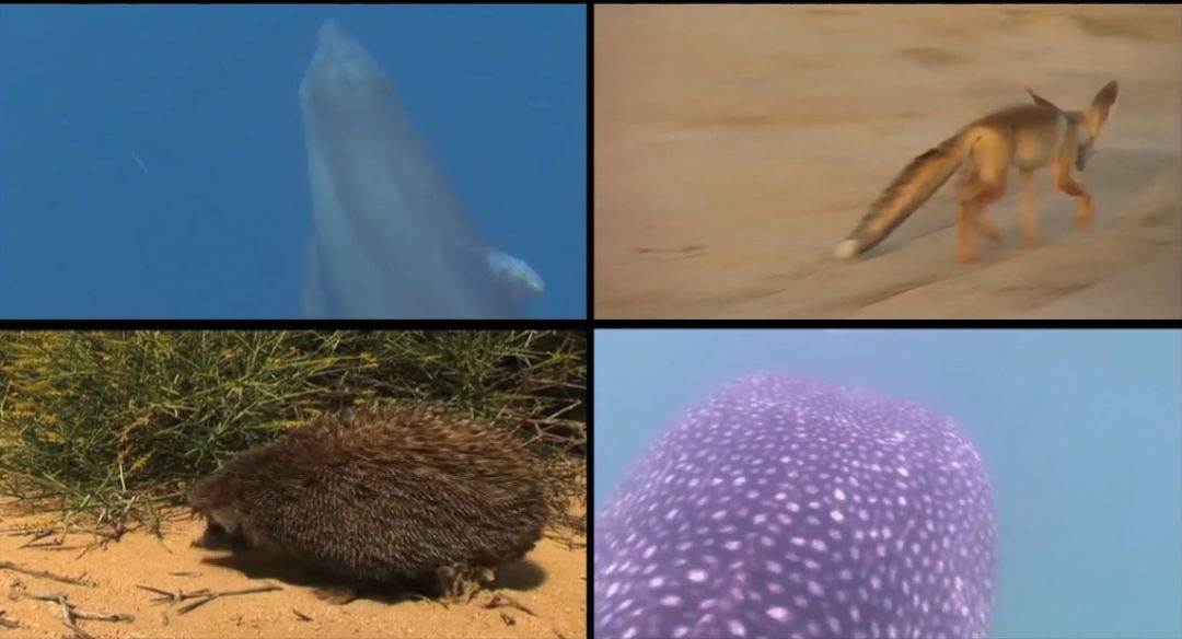 Öйú¡¤±Ø·¢¼¯ÍÅ(¹É·Ý)ÓÐÏÞ¹«Ë¾-¹Ù·½ÍøÕ¾