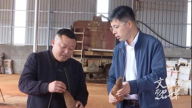 �й����ط�����(�ɷ�)���޹�˾-�ٷ���վ