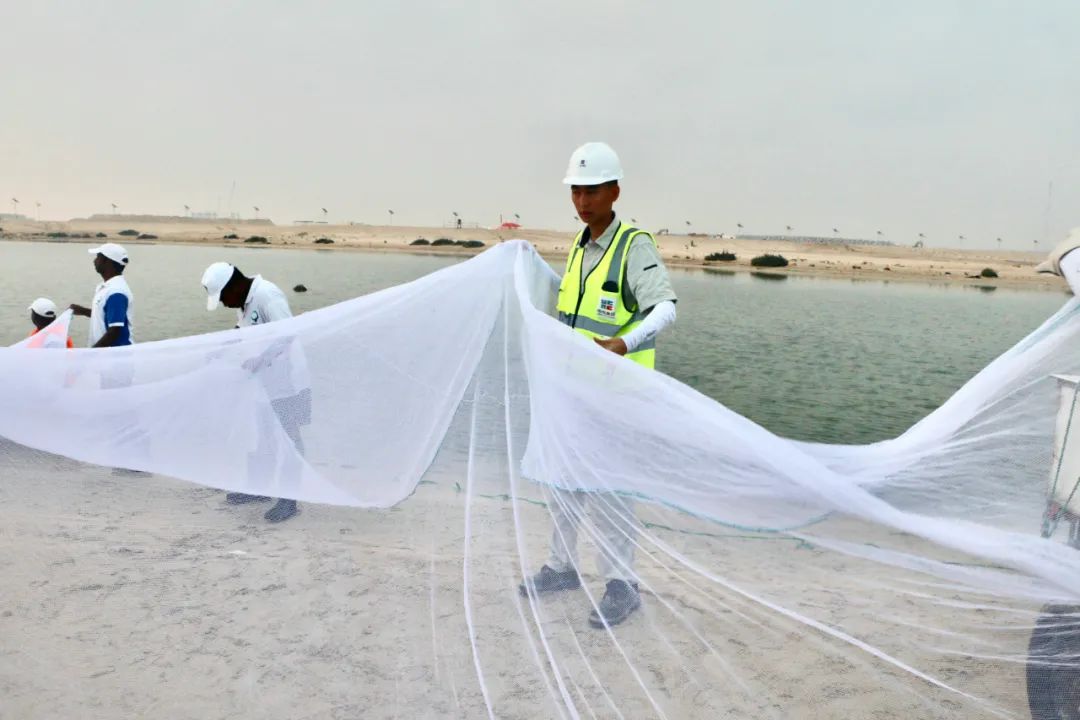 �й����ط�����(�ɷ�)���޹�˾-�ٷ���վ