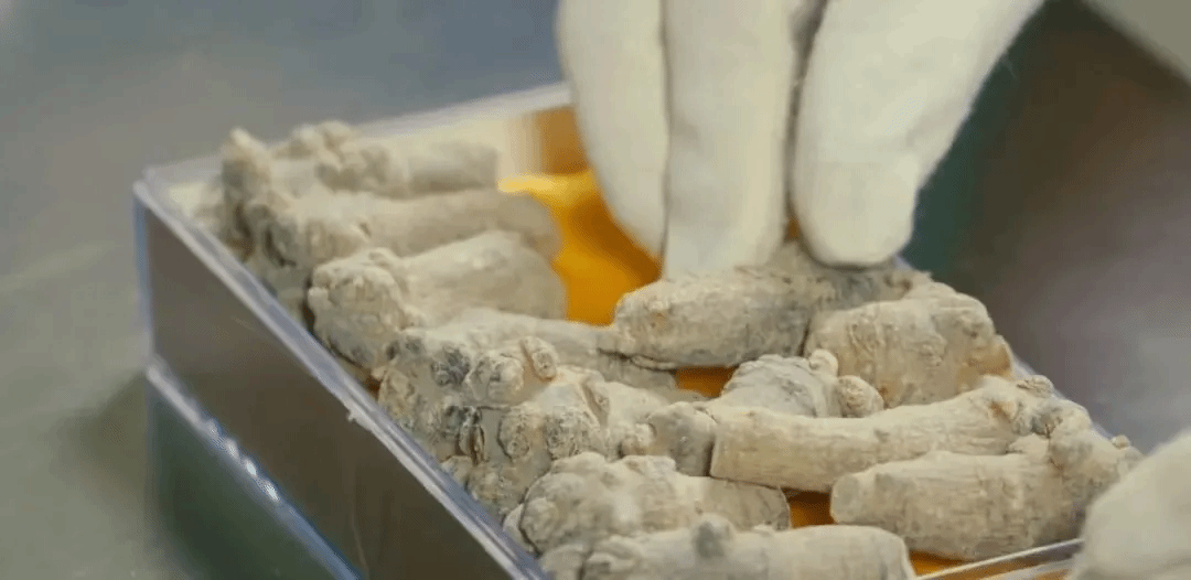 �й����ط�����(�ɷ�)���޹�˾-�ٷ���վ