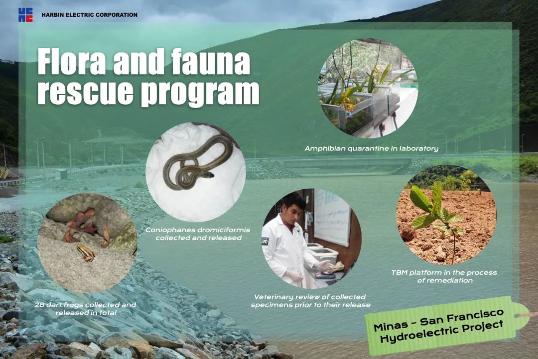 �й����ط�����(�ɷ�)���޹�˾-�ٷ���վ