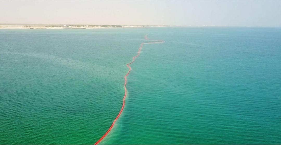 �й����ط�����(�ɷ�)���޹�˾-�ٷ���վ