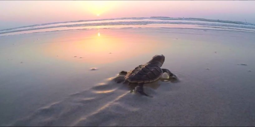 �й����ط�����(�ɷ�)���޹�˾-�ٷ���վ