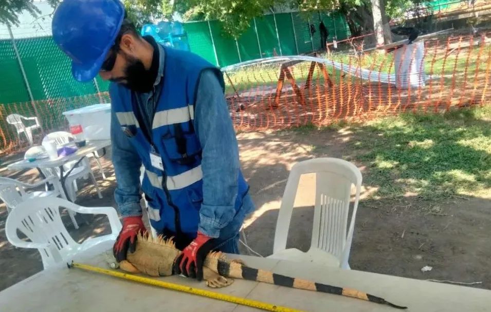 �й����ط�����(�ɷ�)���޹�˾-�ٷ���վ