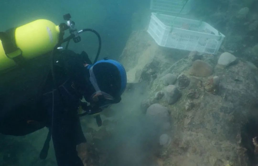 �й����ط�����(�ɷ�)���޹�˾-�ٷ���վ