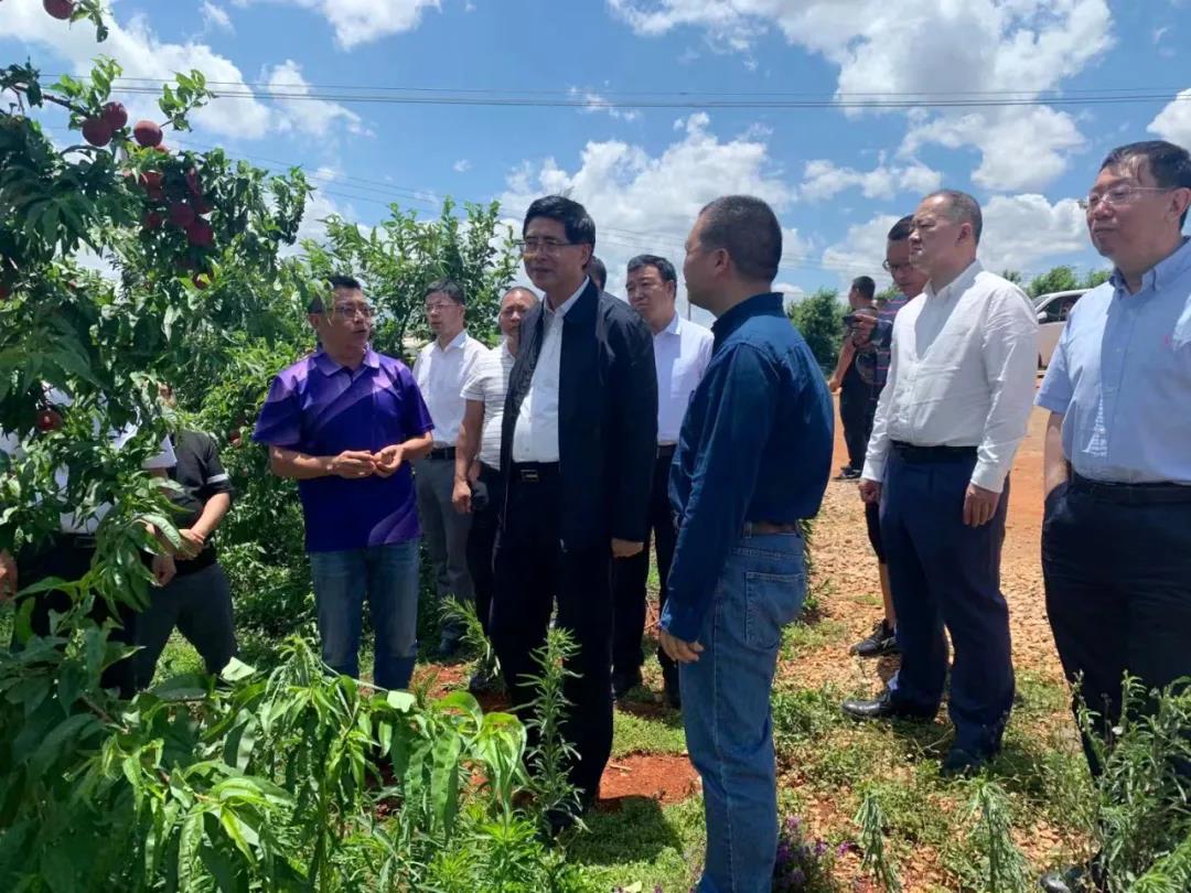 �й����ط�����(�ɷ�)���޹�˾-�ٷ���վ