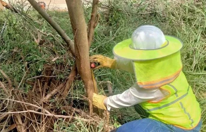 �й����ط�����(�ɷ�)���޹�˾-�ٷ���վ