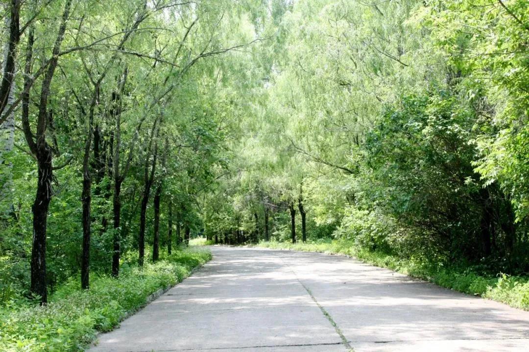 中国·必发集团(股份)有限公司-官方网站