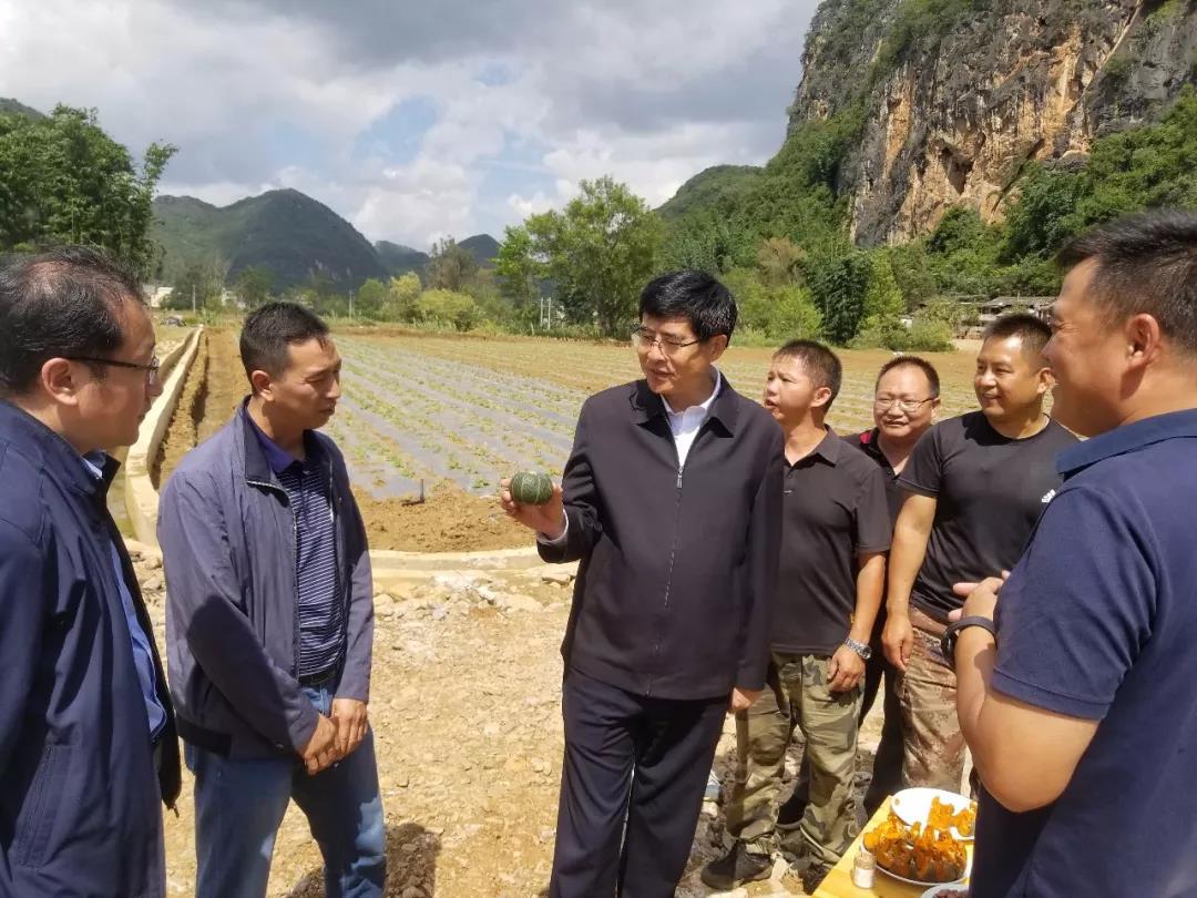 �й����ط�����(�ɷ�)���޹�˾-�ٷ���վ