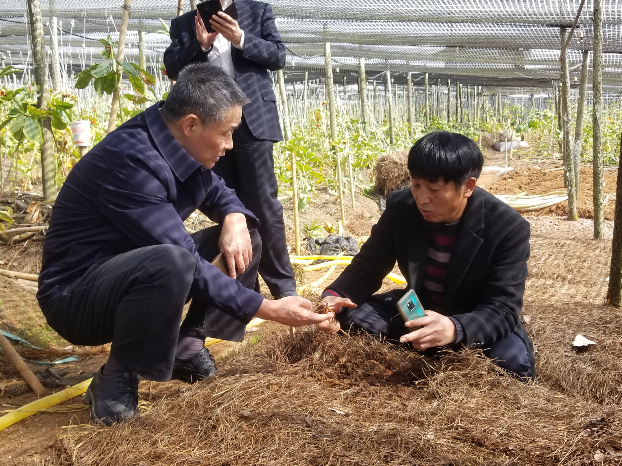 �й����ط�����(�ɷ�)���޹�˾-�ٷ���վ