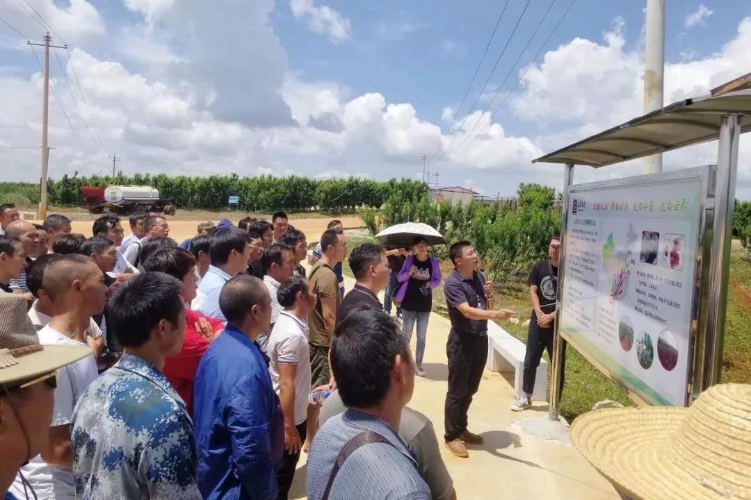 �й����ط�����(�ɷ�)���޹�˾-�ٷ���վ