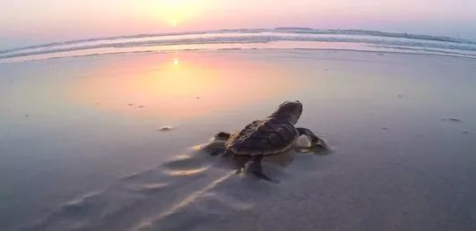 �й����ط�����(�ɷ�)���޹�˾-�ٷ���վ