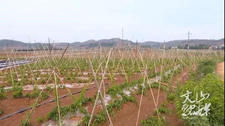 �й����ط�����(�ɷ�)���޹�˾-�ٷ���վ