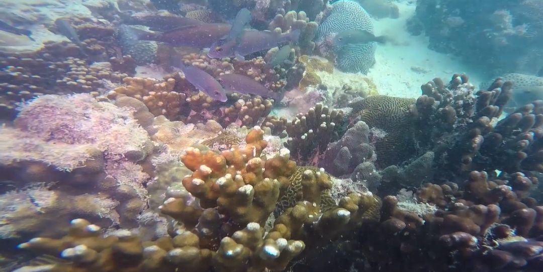 Öйú¡¤±Ø·¢¼¯ÍÅ(¹É·Ý)ÓÐÏÞ¹«Ë¾-¹Ù·½ÍøÕ¾