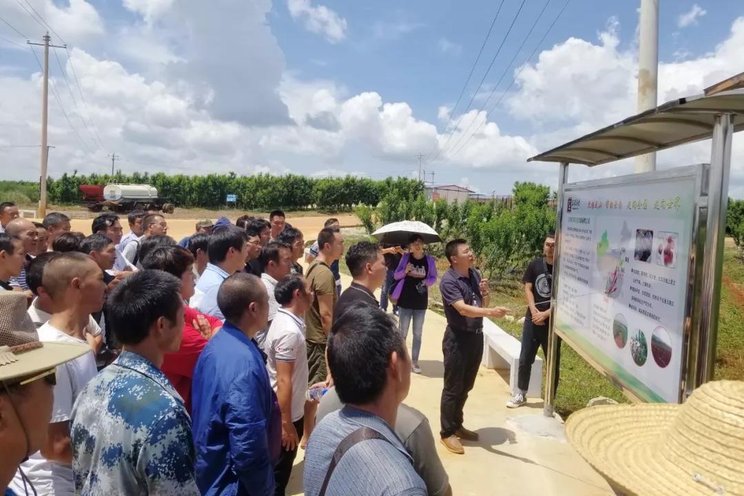 �й����ط�����(�ɷ�)���޹�˾-�ٷ���վ