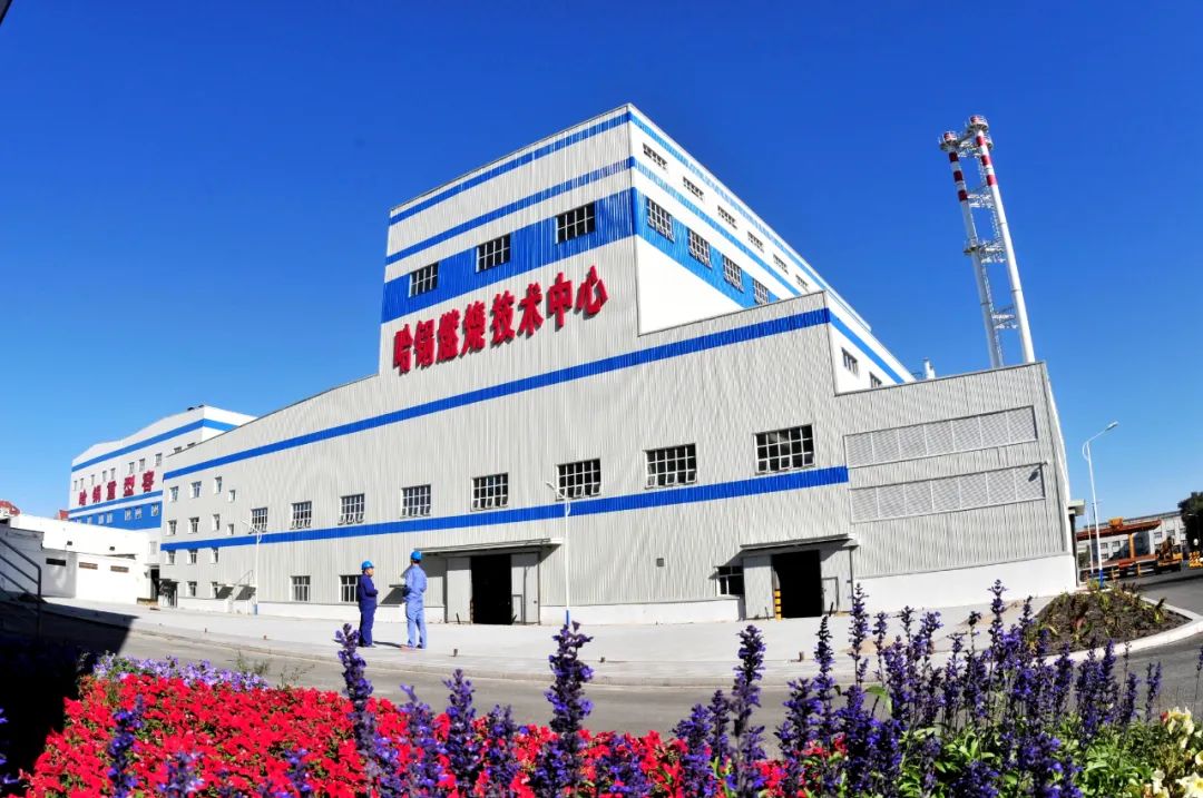 �й����ط�����(�ɷ�)���޹�˾-�ٷ���վ