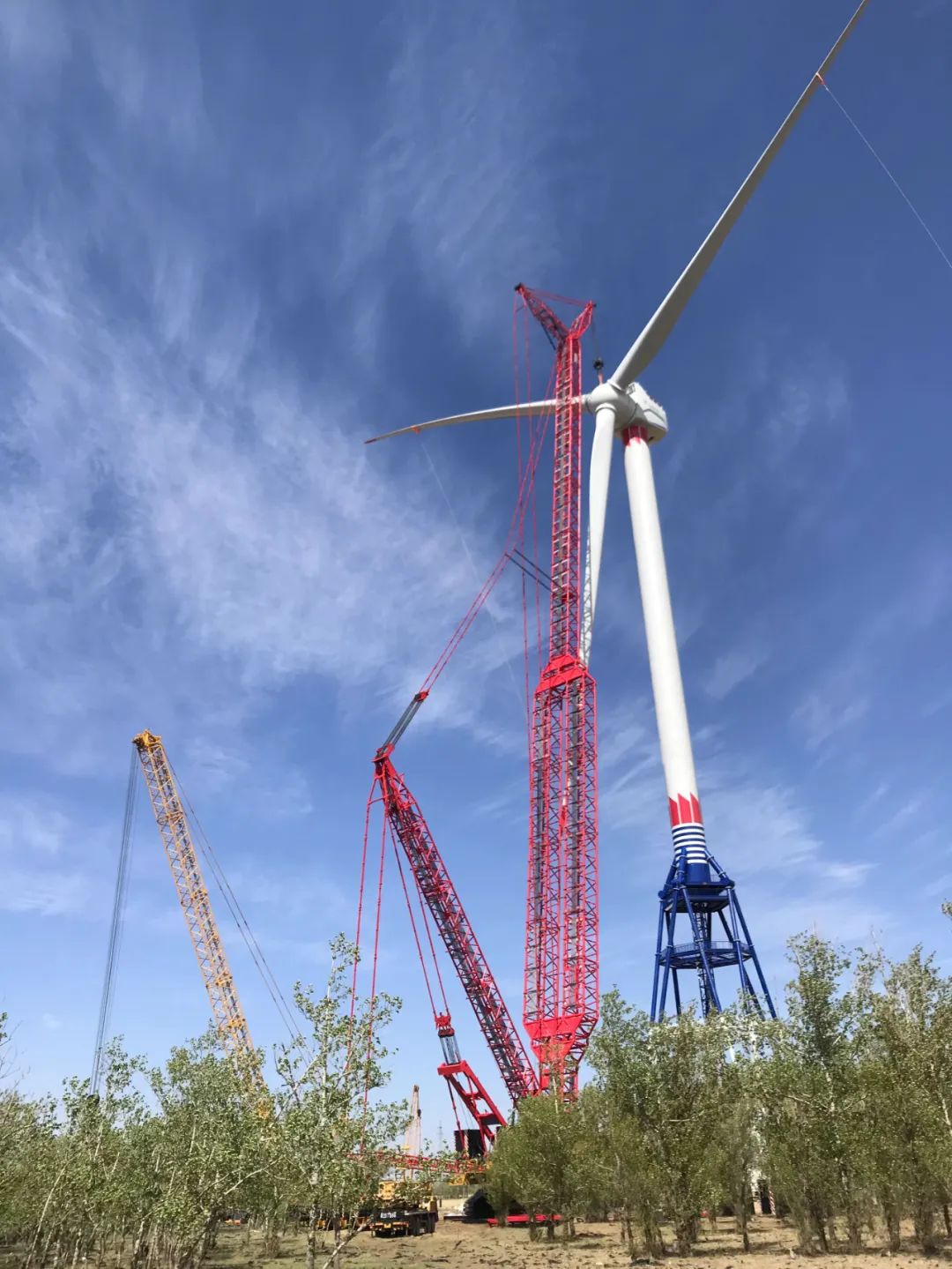 �й����ط�����(�ɷ�)���޹�˾-�ٷ���վ