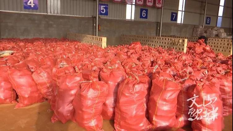 �й����ط�����(�ɷ�)���޹�˾-�ٷ���վ