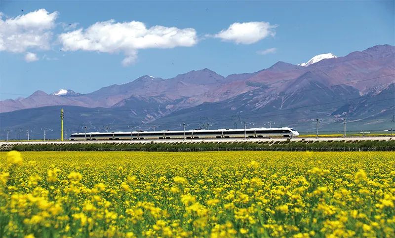 ����׿�����ʡ����󡢹���ί����ǡ����Ρ�������ҵˢ��