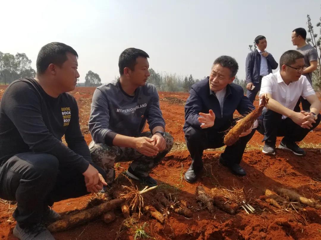 �й����ط�����(�ɷ�)���޹�˾-�ٷ���վ