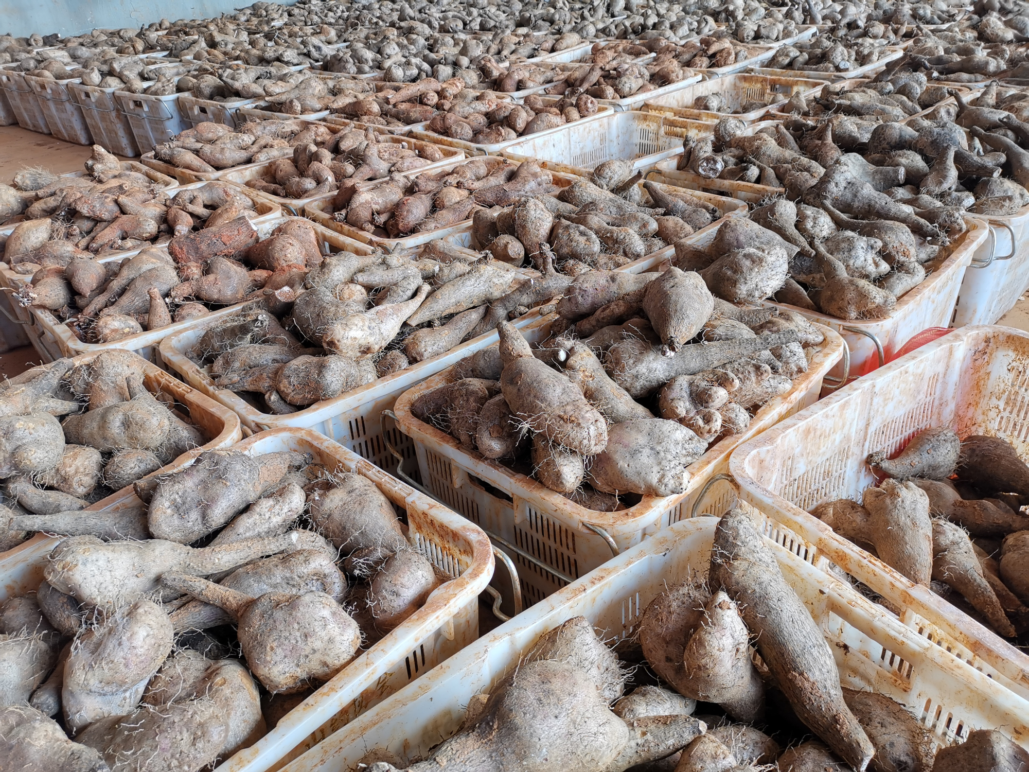 �й����ط�����(�ɷ�)���޹�˾-�ٷ���վ